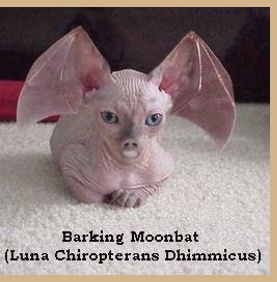 Moonbat
